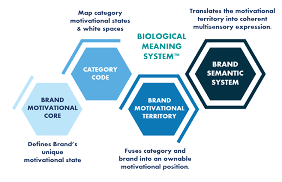 biological-meaning-system