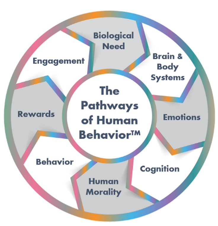 * Proprietary tool developed by BRAND AVIATORS™ See:  Dr.  C. Pantidos, Living Brands: How Biology and Neuroscience Shape Consumer Behaviour and Brand Desirability, Lid Publishing, London 2018, p. 10
