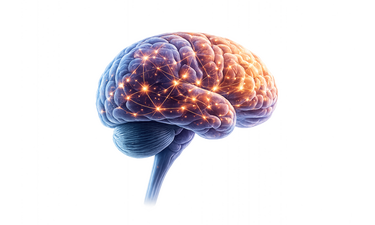 neuroscience
